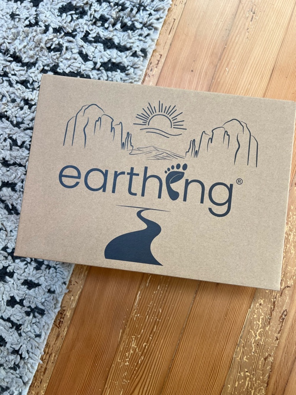 Earthing Black Slip-On Active Shoe